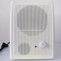 Fine Quality Bluetooth ​Infrared HiFi Wall Speaker